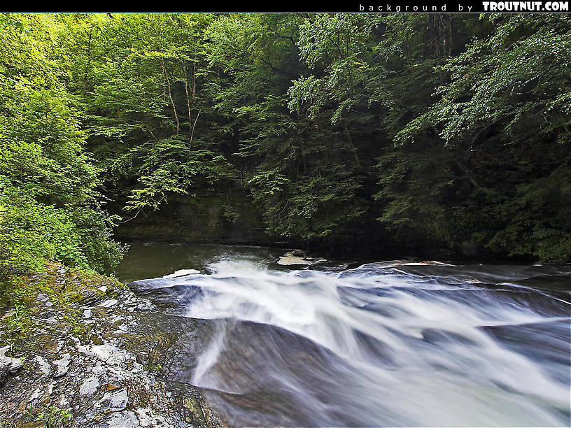 scenic desktop background for download #45