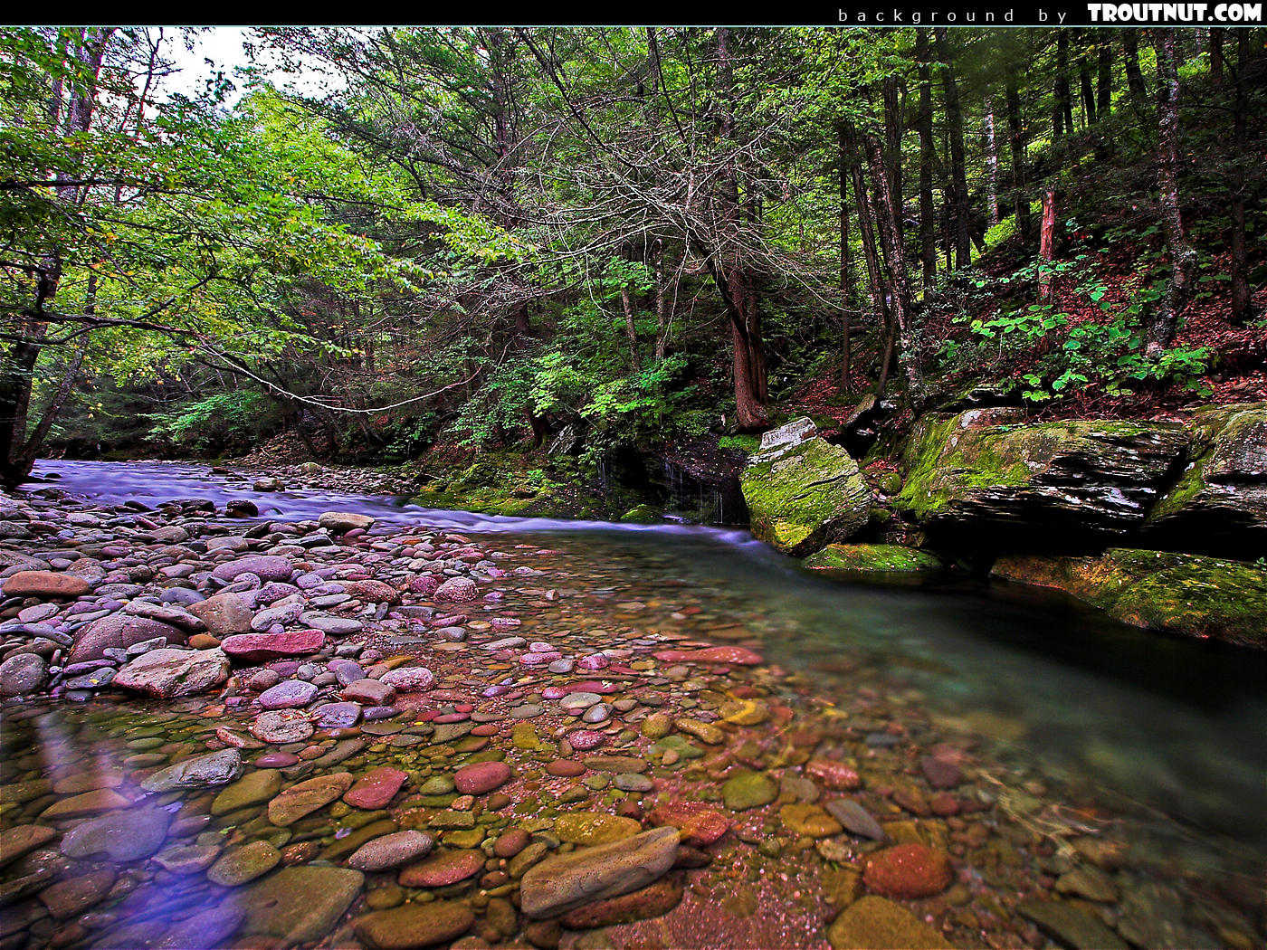 Free Desktop Backgrounds Hires Nature Photography