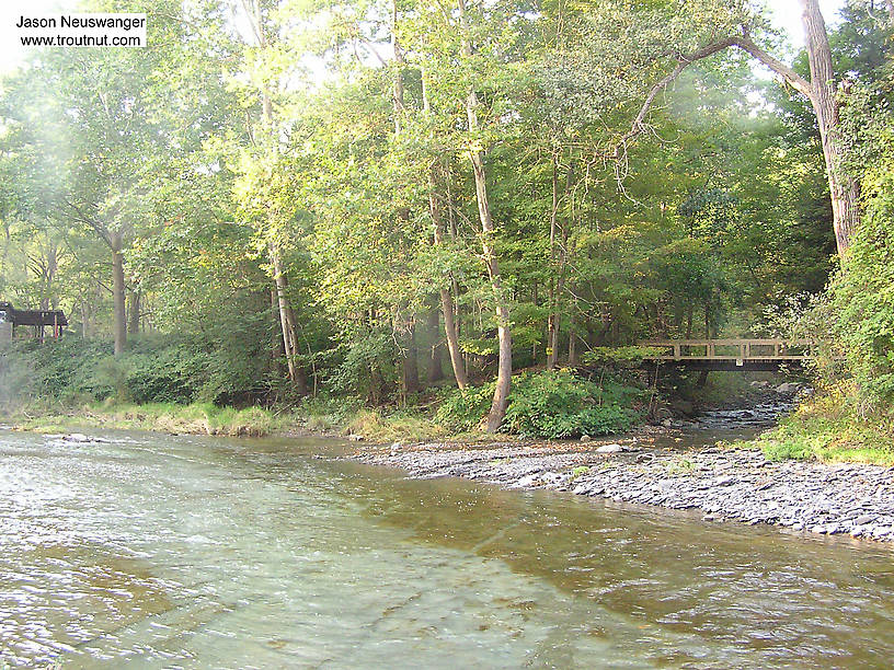 The crystal clear water of this small northeastern trout stream makes wading tricky since everything looks deceptively shallow.  Those of us accustomed to judging depth by the fading clarity in stained water have a little trouble adjusting our perception to such clear streams. From Salmon Creek in New York.
