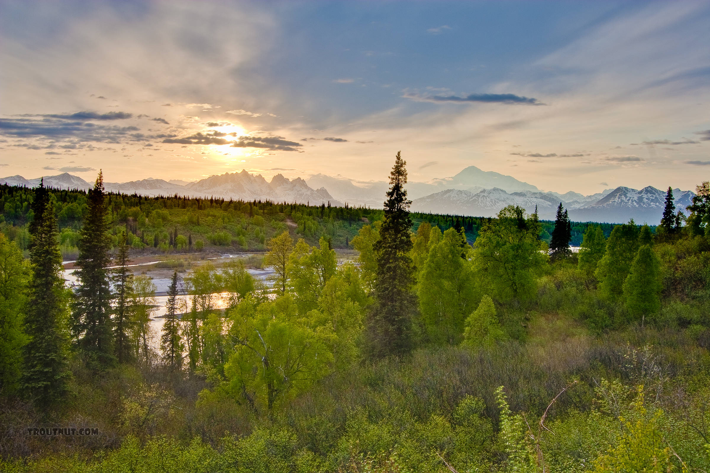 I took this picture on my way home from Homer, from one of the Denali overlooks on the Parks Highway a ways north of Talkeetna.  That is an amazing drive at all times of year, and spring is no exception.  The highest, most distant mountain visible is Denali / Mount McKinley, while the rest of the Alaska Range rises over the Chulitna River in the foreground. From Parks Highway in Alaska.