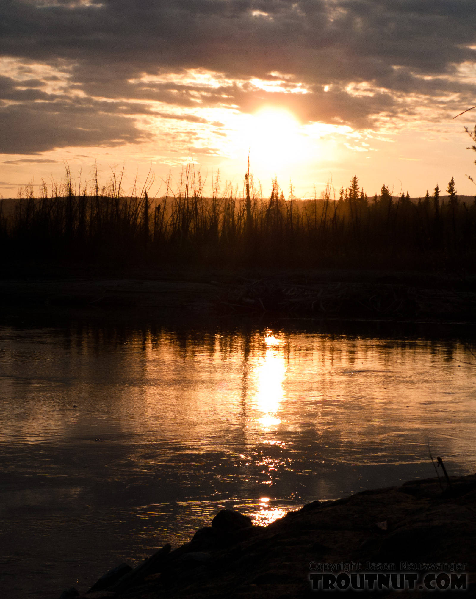  From the Tanana River in Alaska.