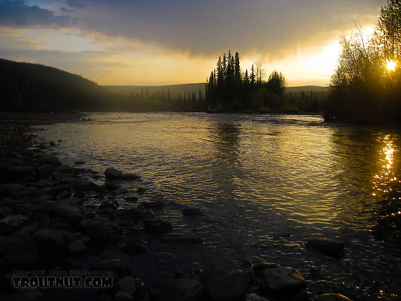  From the Chatanika River in Alaska.