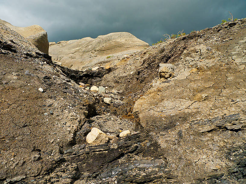 The old small-scale coal mine, along with erosion from Ober Creek, left these coal seams exposed on a hillside, mixed in with other sedimentary rocks. From Ober Creek in Alaska.