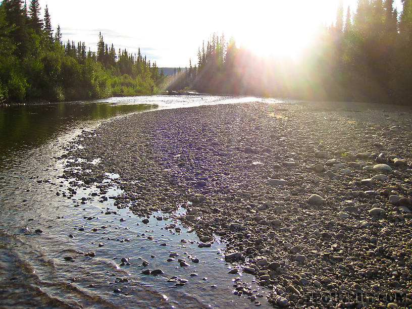  From the Chatanika River in Alaska.