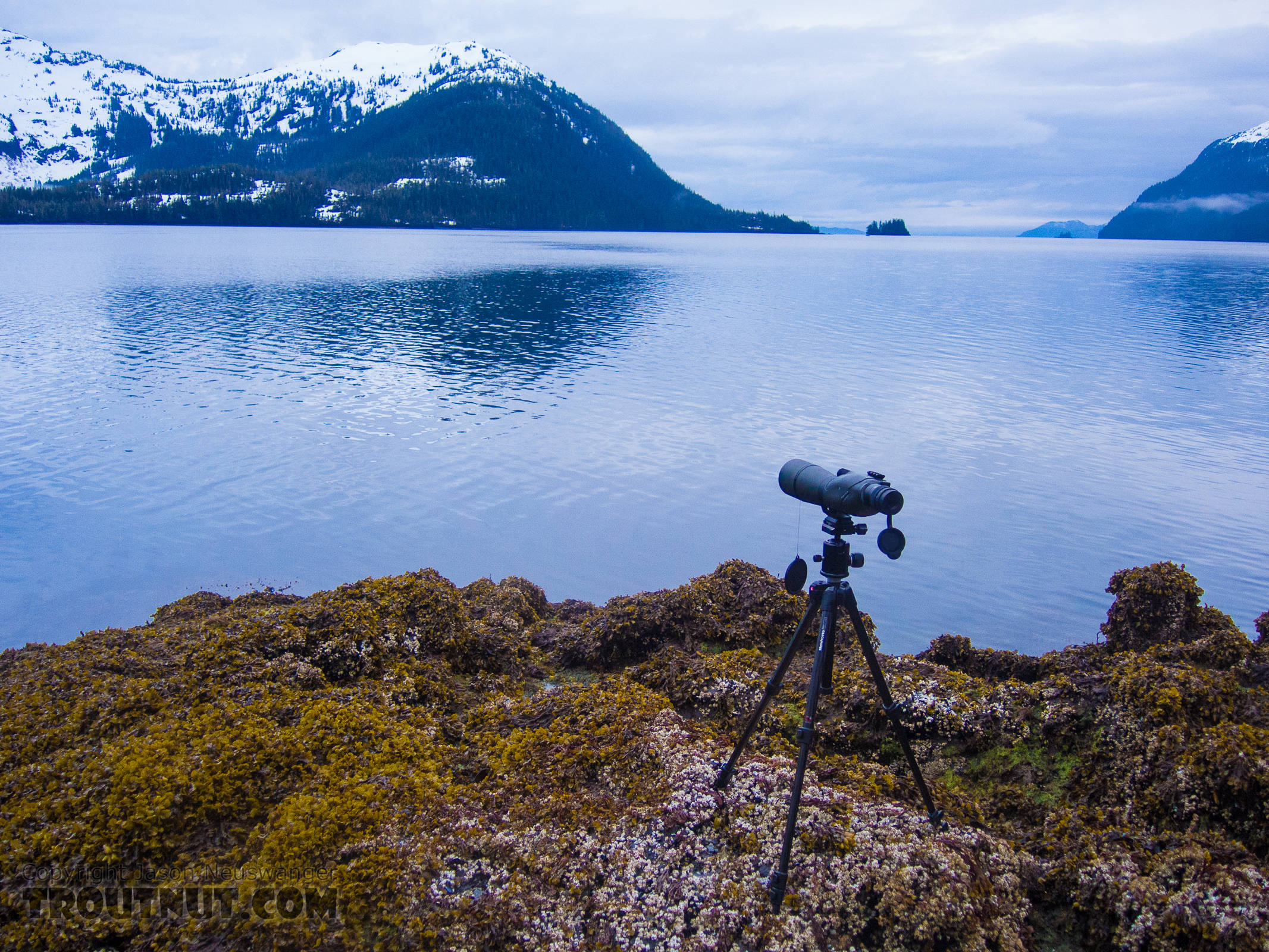 Spotting scope set up on the barnacles at low tide, looking for bears. From Prince William Sound in Alaska.