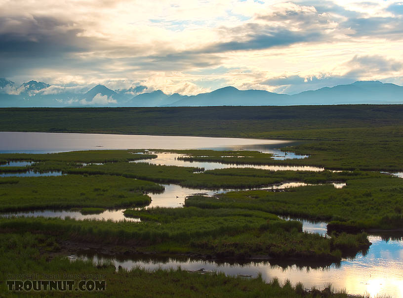 This was one of our first views of the mountains we'd be hiking into, seen from across some lakes in the upper Osar Creek drainage. From Denali Highway in Alaska.