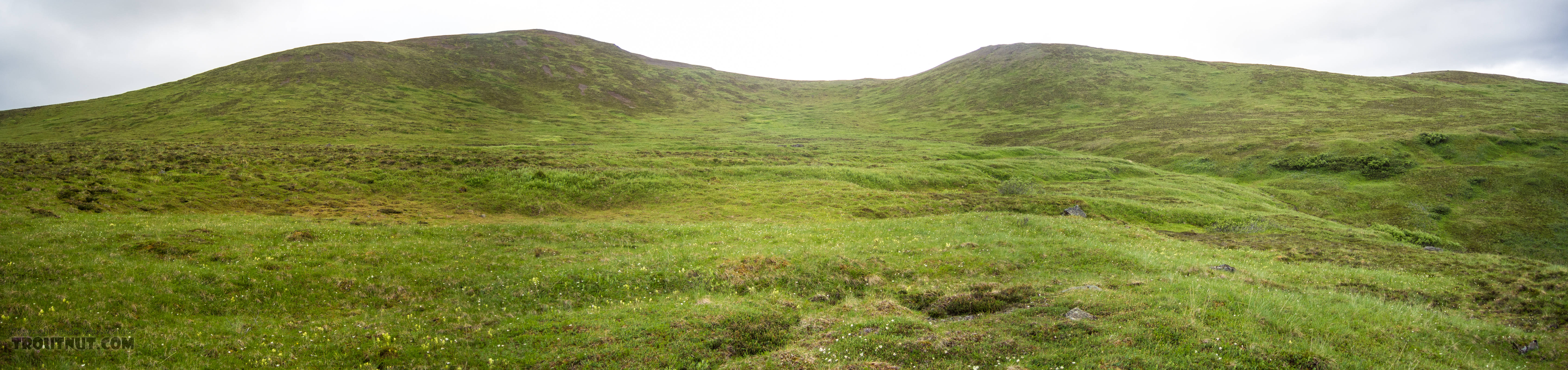 Panoramic view of the mile-wide shoulder of a tundra ridge with a little valley in the middle. From Clearwater Mountains in Alaska.