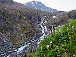 South Fork Pass Creek flowing through a little canyon From the South Fork of Pass Creek in Alaska.