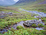 From the South Fork of Pass Creek in Alaska.