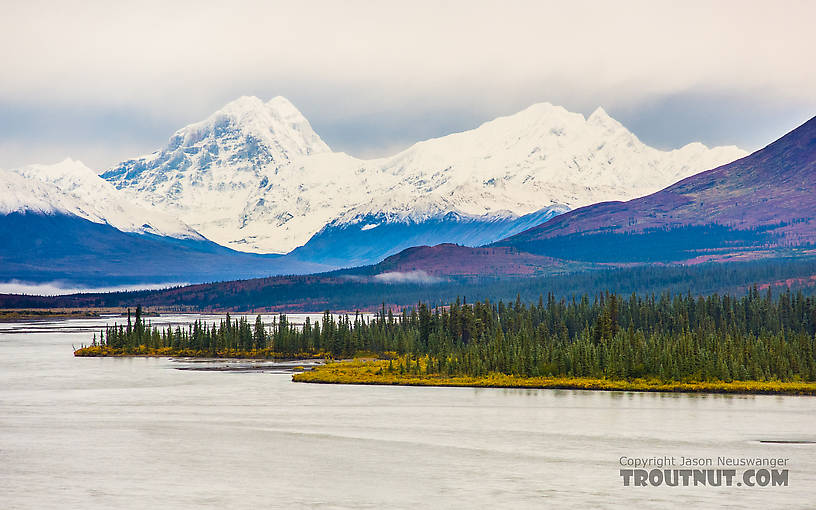 Alaska Range over the Susitna. Mount Deborah is on the left, and Hess Mountain is on the right. From the Susitna River in Alaska.