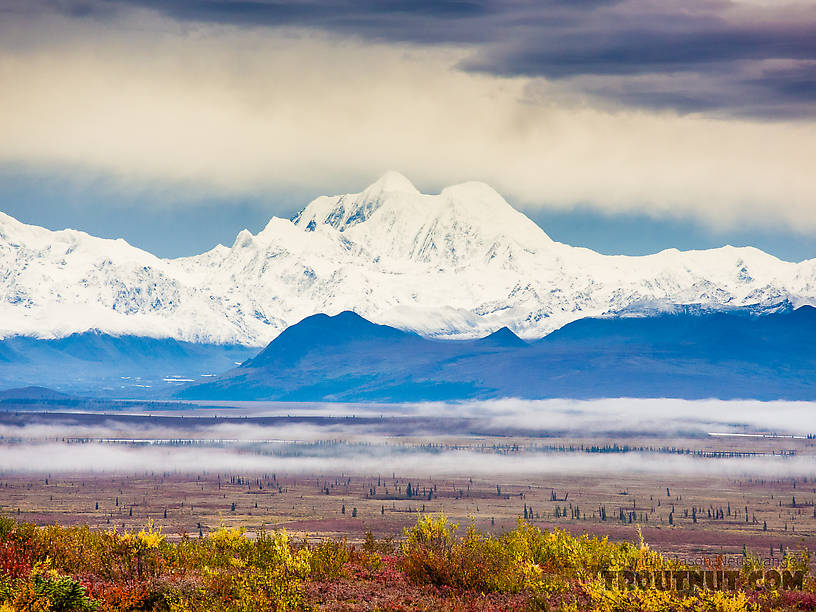 Mount Hayes viewed across the Susitna Valley From Denali Highway in Alaska.