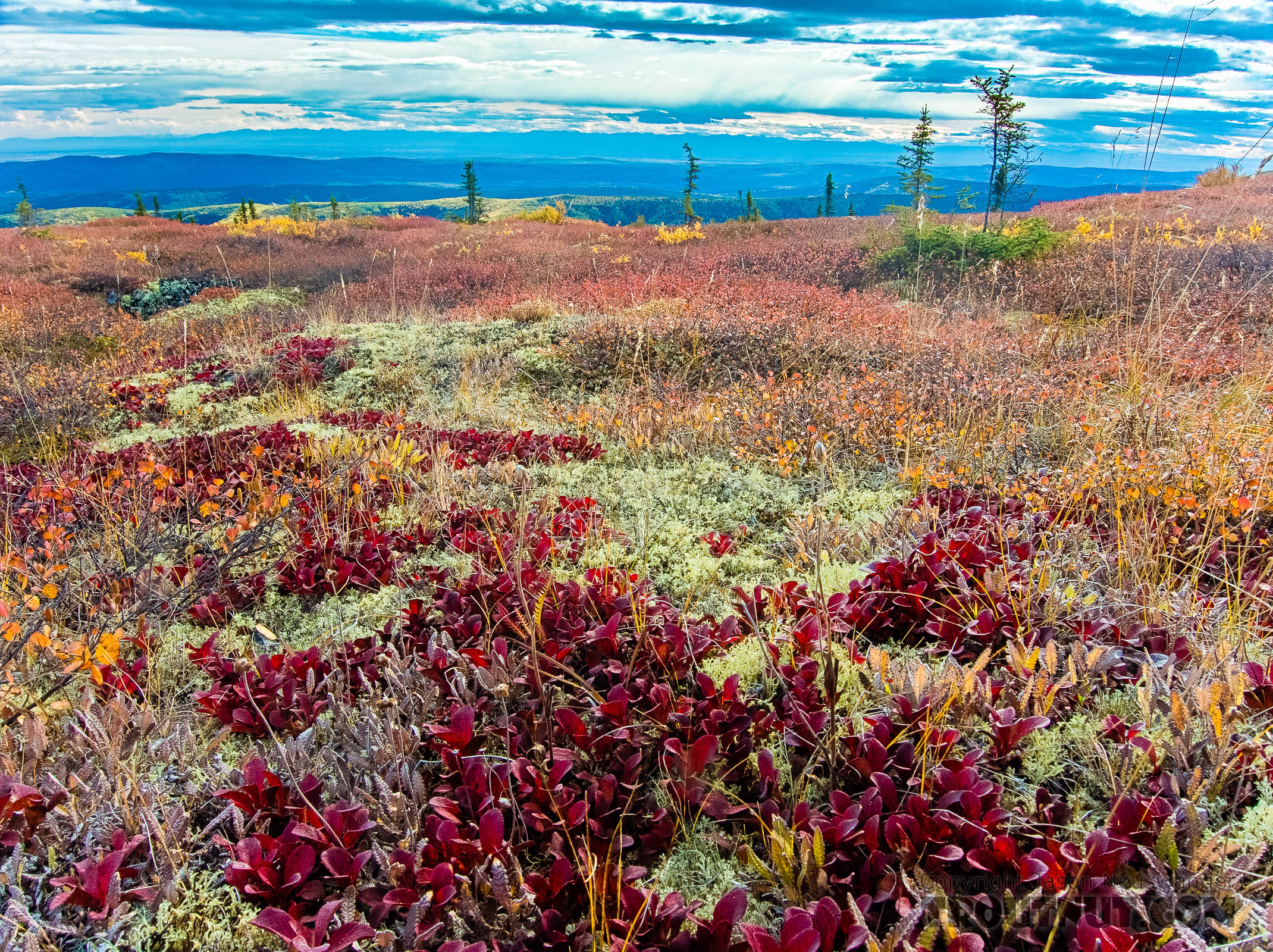 Sunny fall colors From Murphy Dome in Alaska.