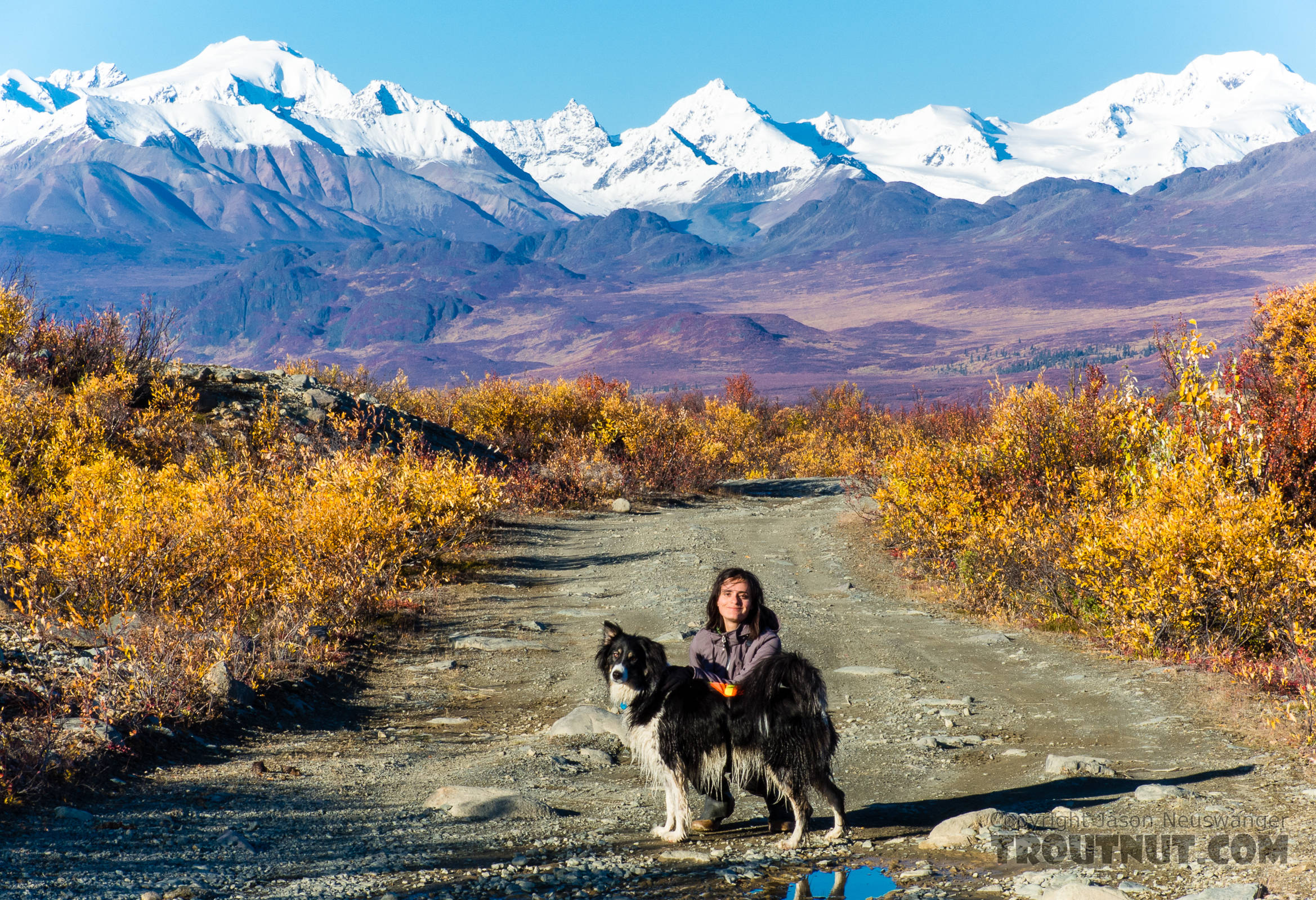 Lena and Taiga on the Maclaren River Trail. This trail heads north toward the Maclaren Glacier and West Fork of the Maclaren River, uphill on the west side of the Maclaren River. From the Maclaren River Trail in Alaska.