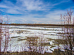 The last contiguous ice on the Tanana near town. On the right side of the photo, the river's original ice still extends all the way across. A rapid flow of water and ice is pushing in toward it from the left. Moments later, the original ice gave way and opened up a free-flowing channel packed with truck-sized icebergs. From the Tanana River in Alaska.
