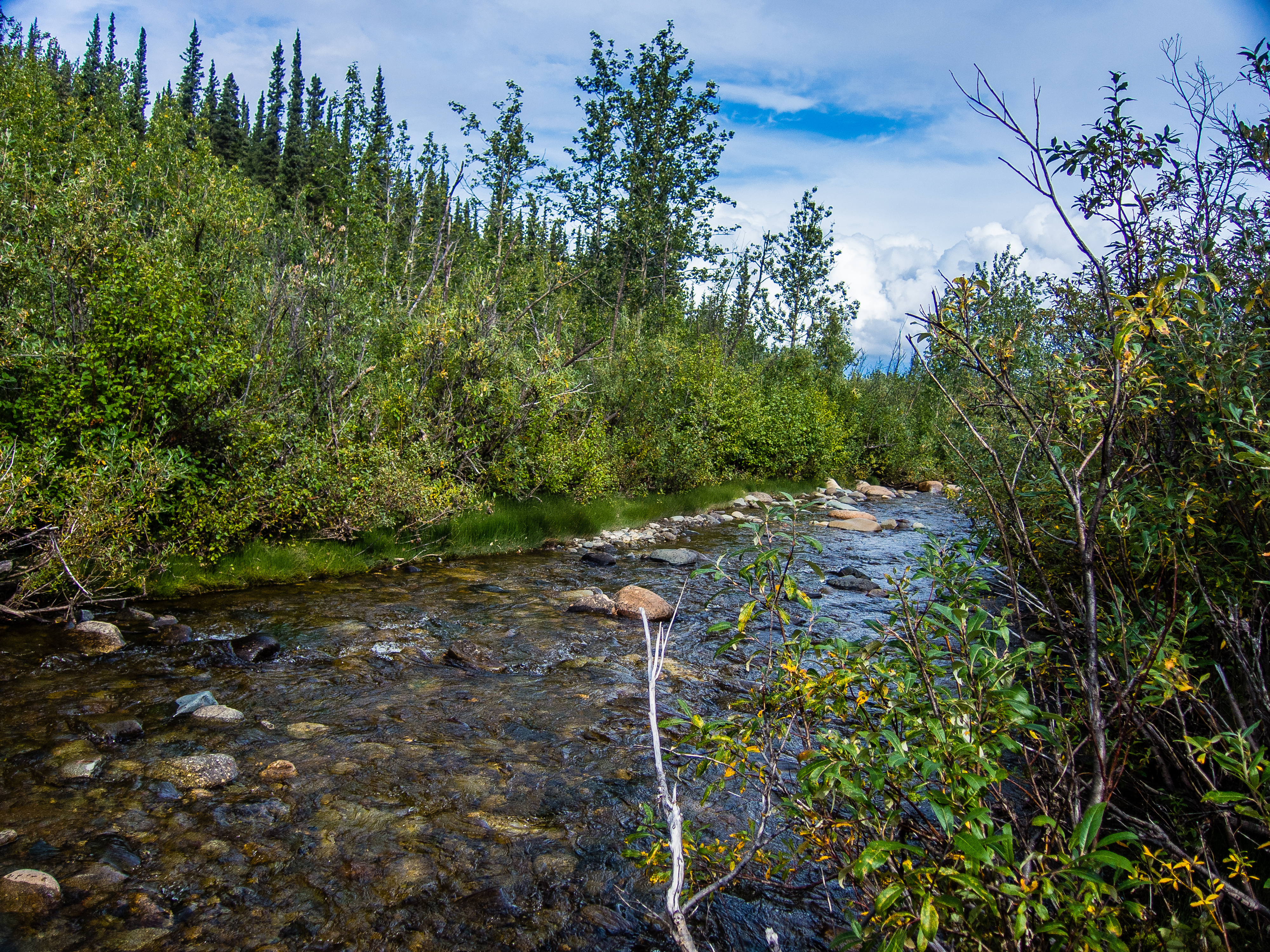  From Mystery Creek # 170 in Alaska.