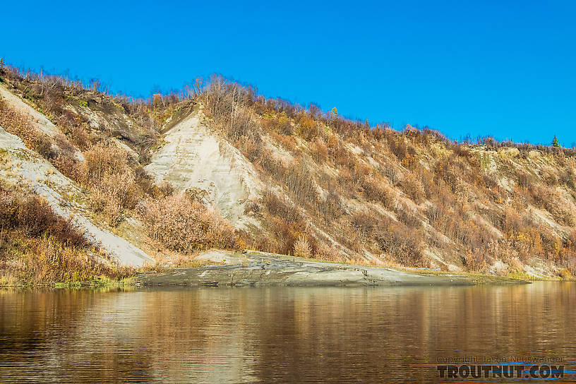 Recent permafrost slump From the Selawik River in Alaska.