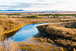 View from atop the permafrost slump From the Selawik River in Alaska.