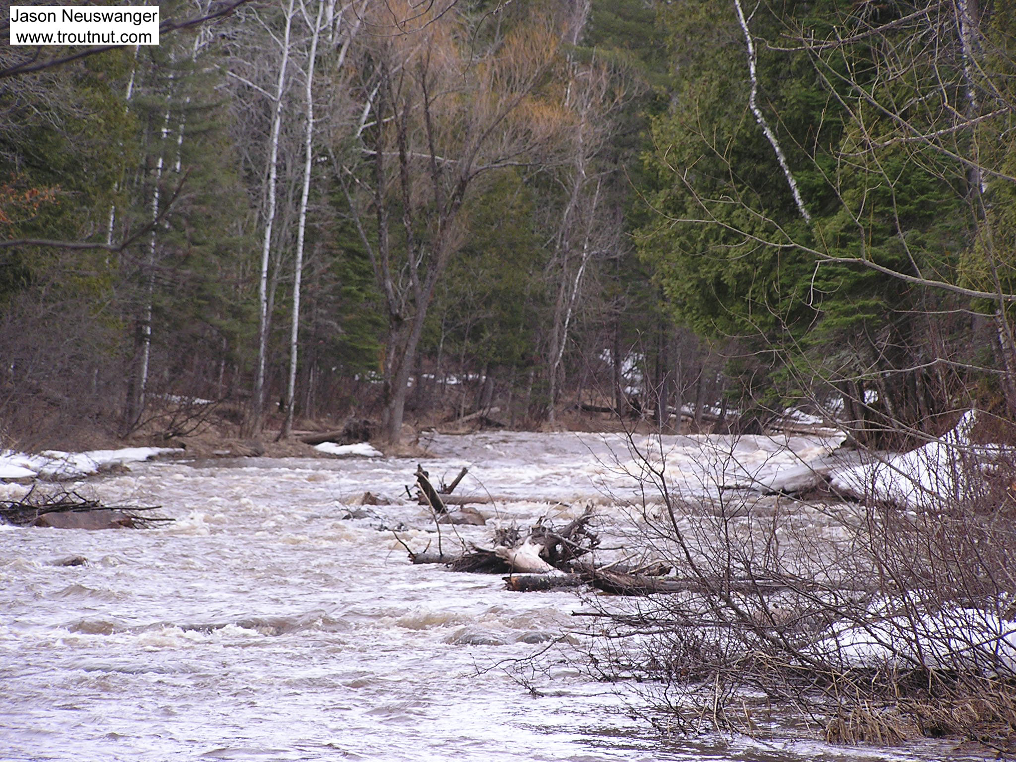 Spring rain has this steelhead river up and roaring. From the Bois Brule River in Wisconsin.