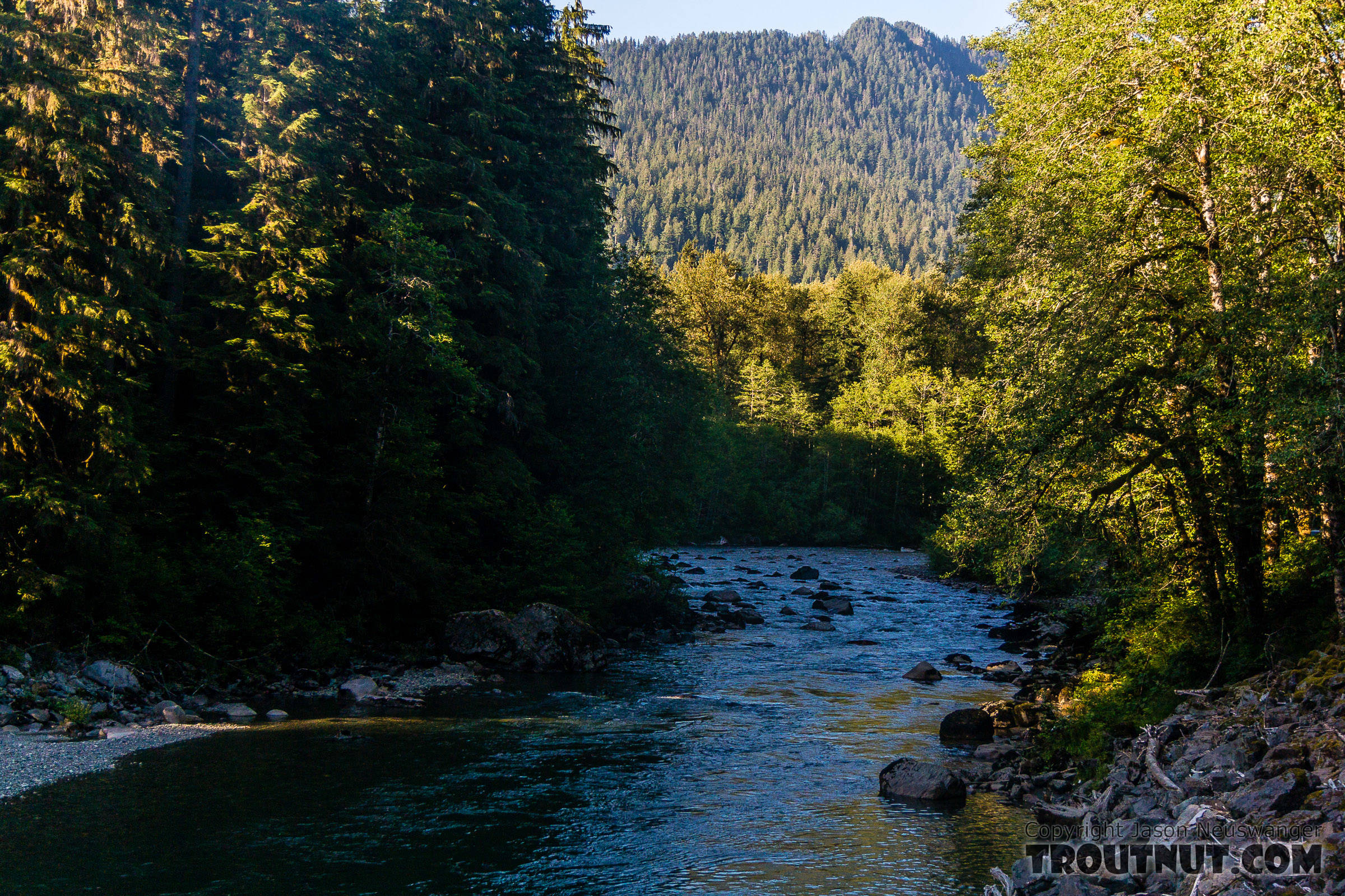  From the South Fork Stillaguamish River in Washington.