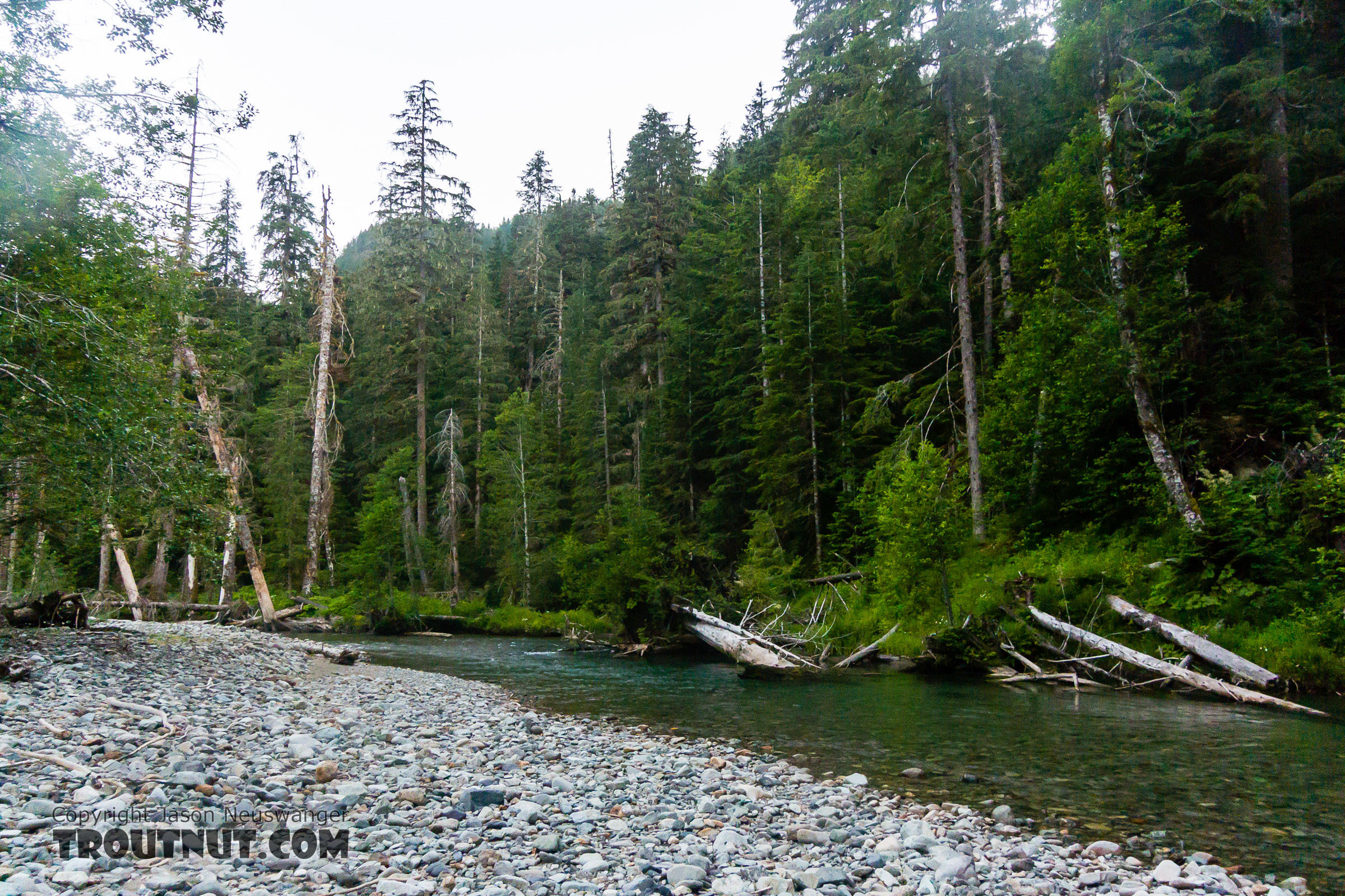  From the South Fork Sauk River in Washington.