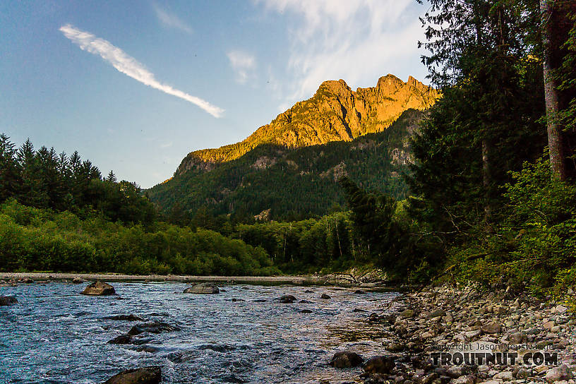  From the Middle Fork Snoqualmie River in Washington.