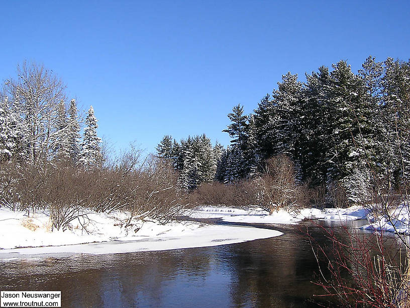A large spring's short outlet enters the river here and keeps it open during even the deepest cold spells. From the Namekagon River in Wisconsin.