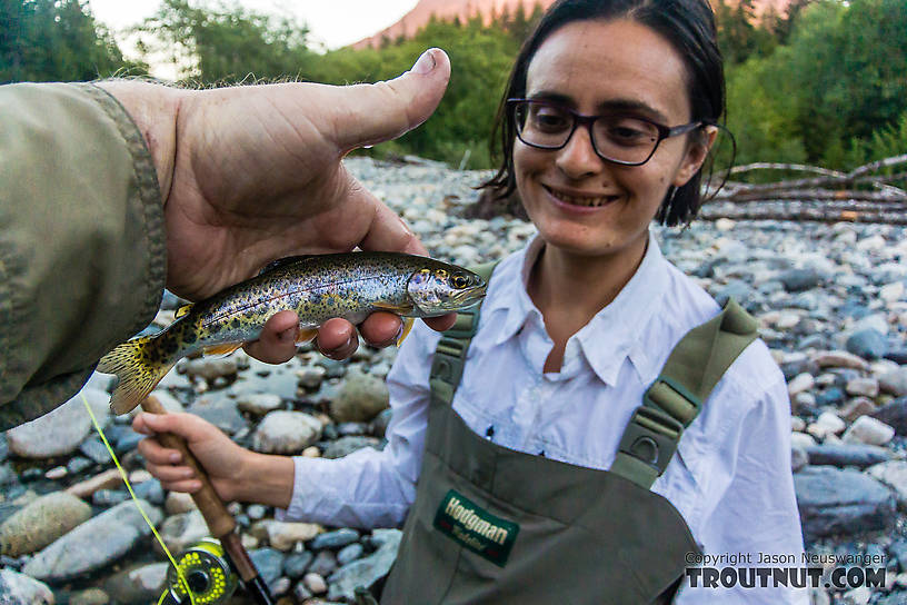 Lena's first coastal cutthroat From the South Fork Snoqualmie River in Washington.