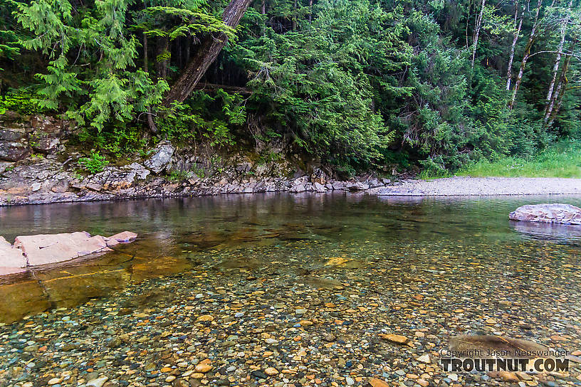  From the South Fork Snoqualmie River in Washington.