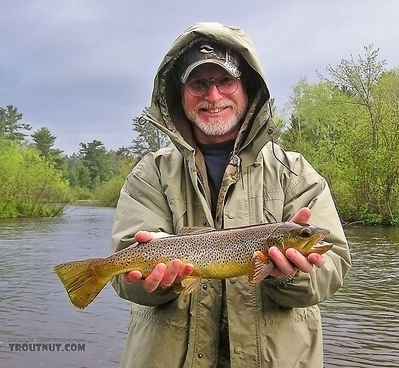 My dad holds up the largest trout he's caught so far on a fly, a 20-inch brown.  It flipped out of his hand a moment later, making for a much more amusing picture. From the Namekagon River, Guillotine Hole in Wisconsin.