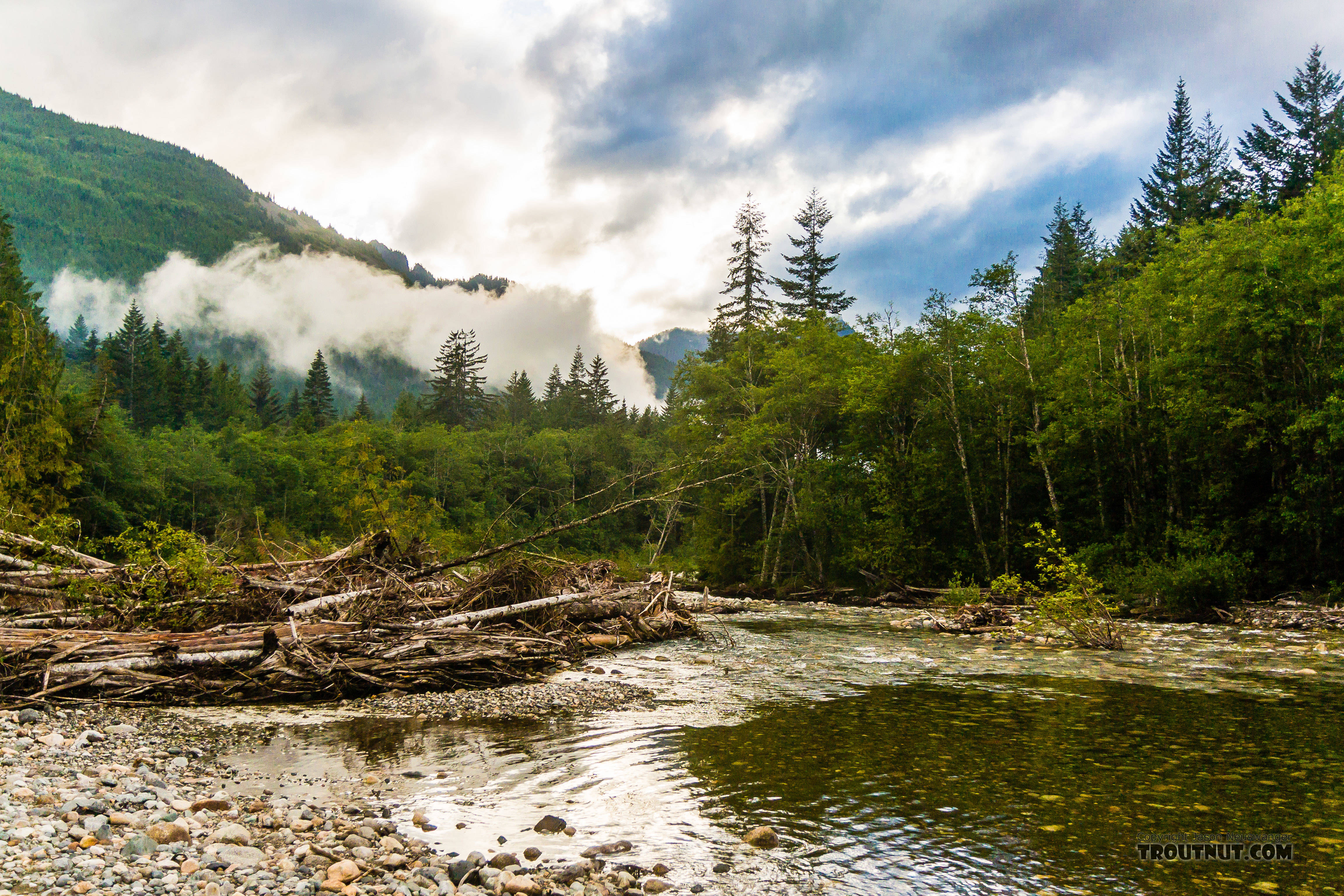  From the South Fork Snoqualmie River in Washington.