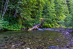 Huckleberry Creek From Huckleberry Creek in Washington.