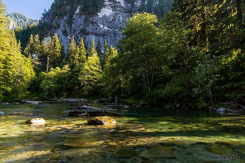 Middle Fork Snoqualmie From the Middle Fork Snoqualmie River in Washington.