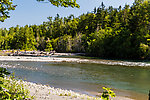  From the Elwha River in Washington.