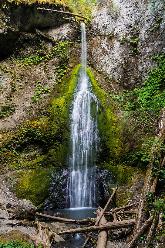 Marymere Falls is on a tributary of Barnes Creek. It's a massive tourist magnet. There was a group of people every 50-100 yards on the well-trodden trail to and from this falls, which is the first part of the access to Barnes Creek. From Barnes Creek in Washington.