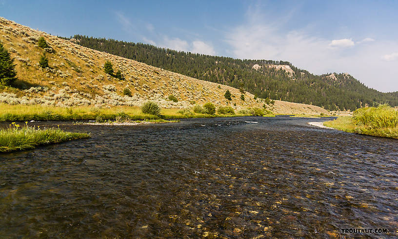  From the Madison River in Montana.