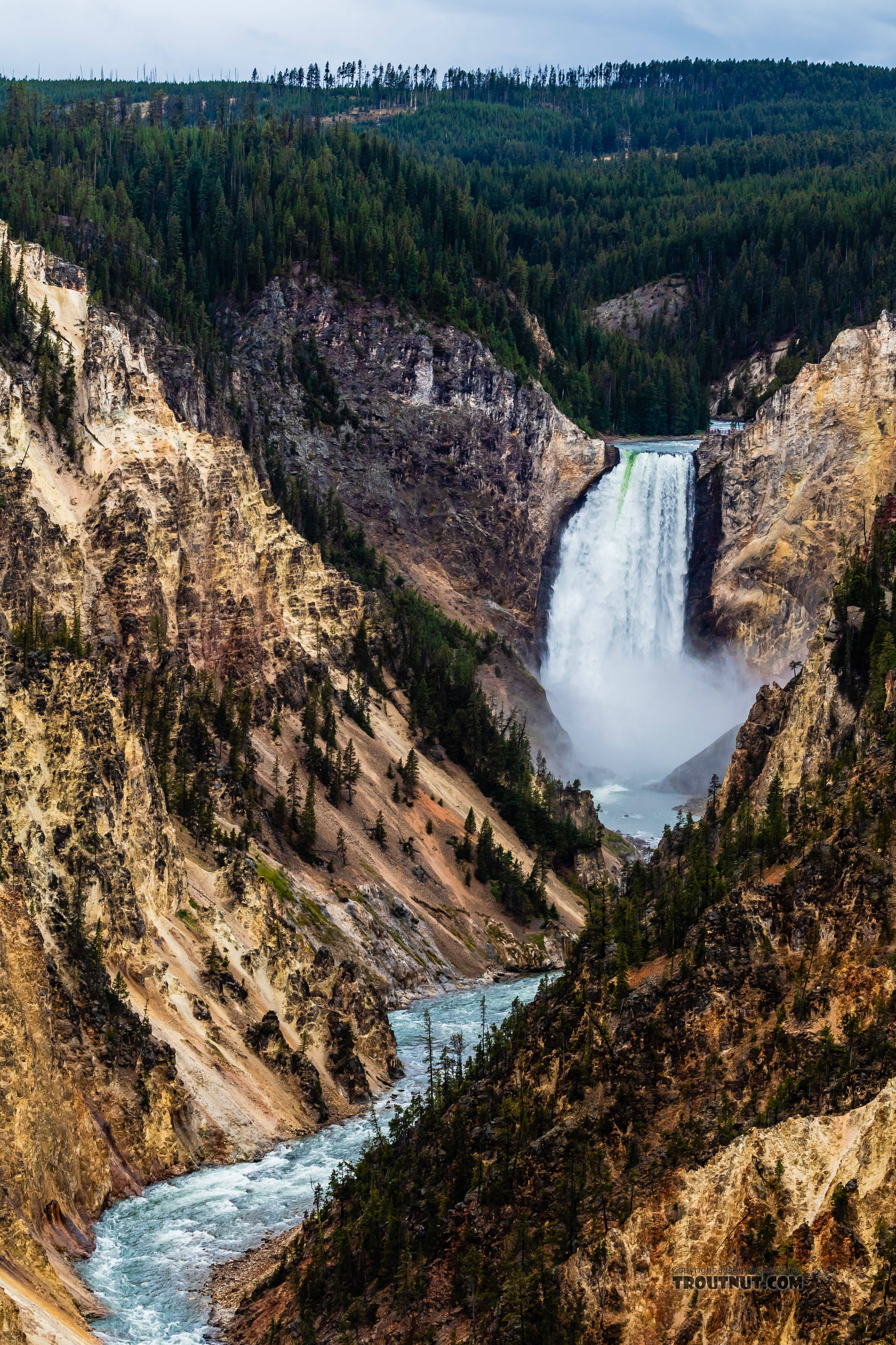 Grand Canyon of the Yellowstone From the Yellowstone River in Wyoming.