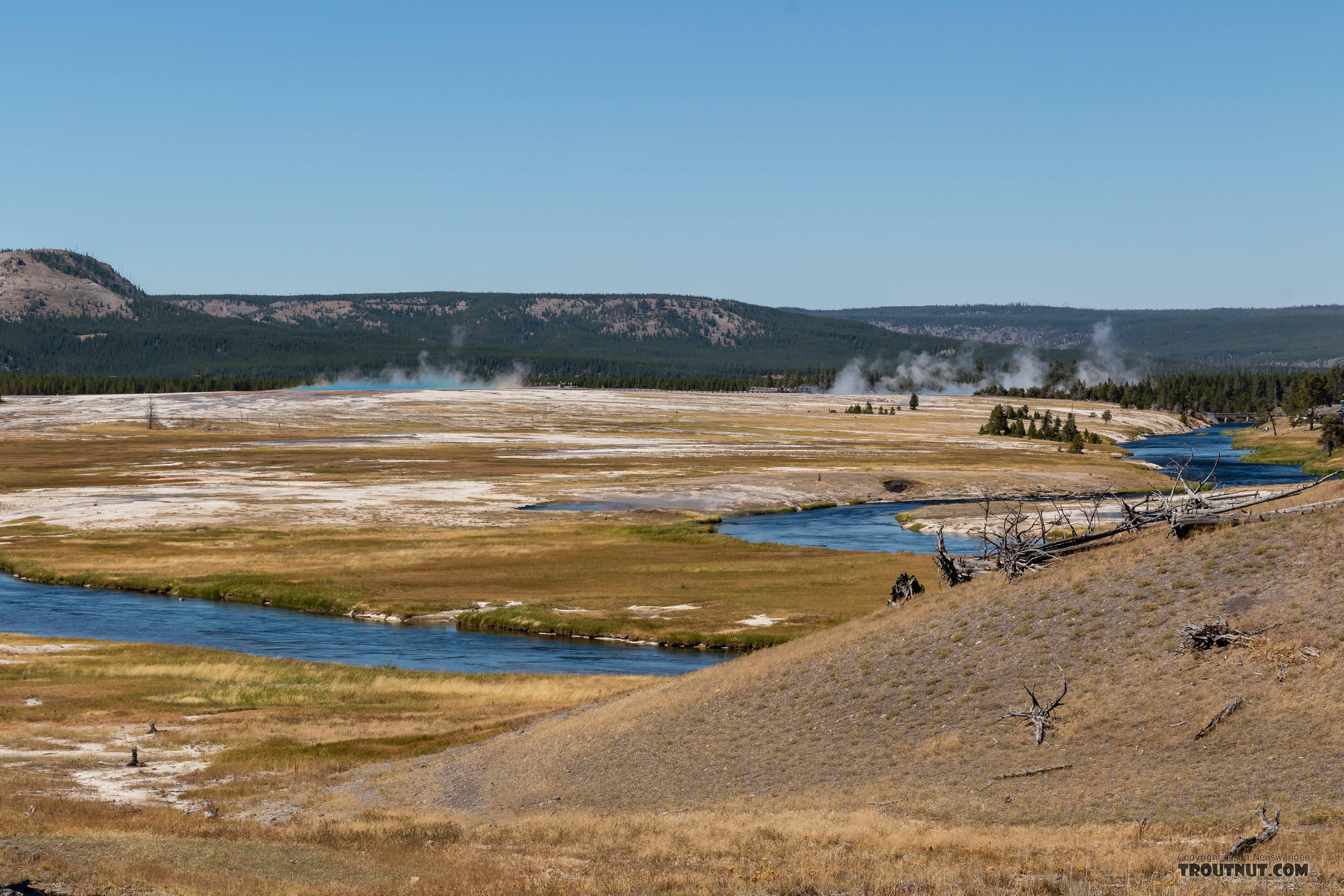  From the Firehole River in Wyoming.