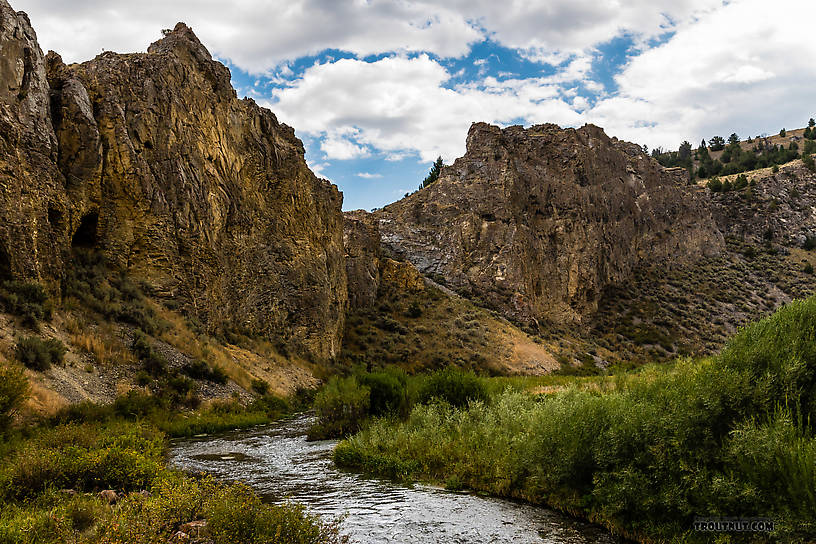 Big Sheep Creek canyon From Mystery Creek # 238 in Montana.
