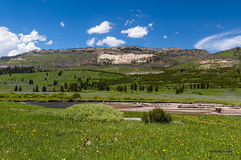  From Slough Creek in Wyoming.