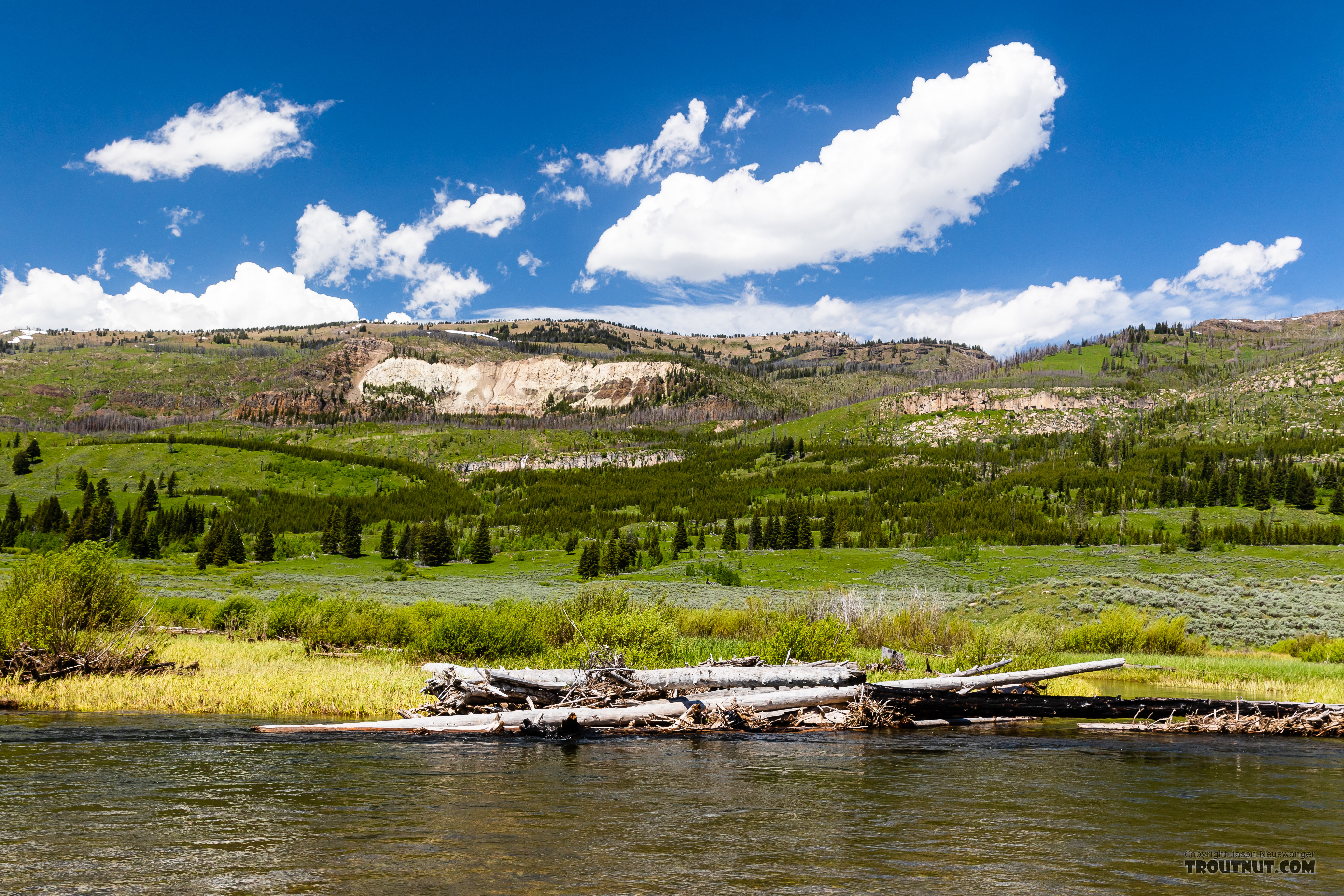  From Slough Creek in Wyoming.
