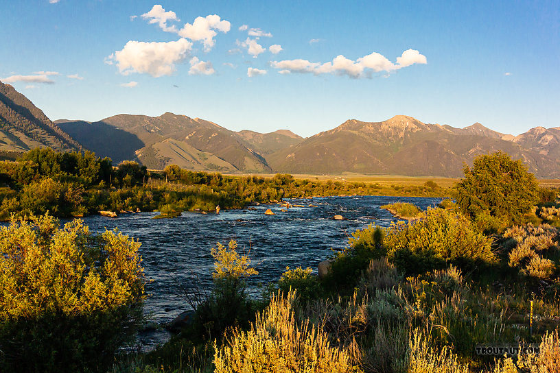 View upstream from near Three Dollar Bridge on the Madison. From the Madison River in Montana.