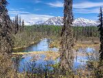  From Byers Creek in Alaska.