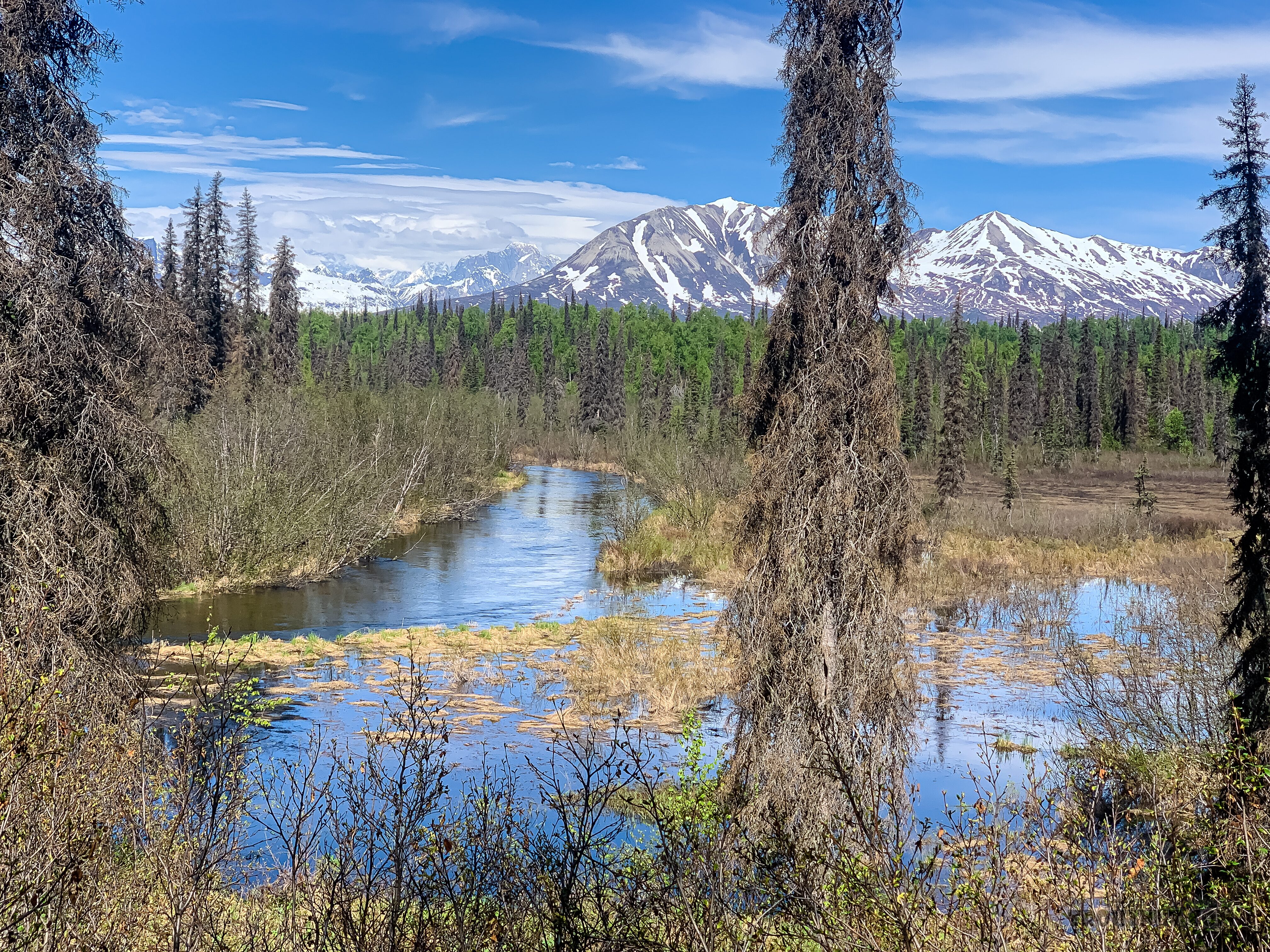  From Byers Creek in Alaska.