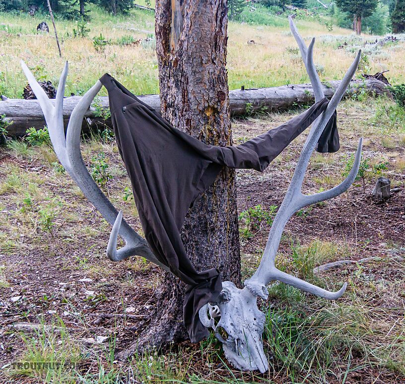 Somebody placed an unusual clothes-drying rack at one of my campsites. From Slough Creek in Wyoming.
