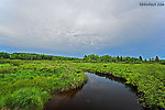 A storm recedes over the boggy headwaters of a nice trout stream.  I haven't seen any trout in this stretch, but it's a good place to collect burrowing mayfly nymphs. From the Marengo River in Wisconsin.
