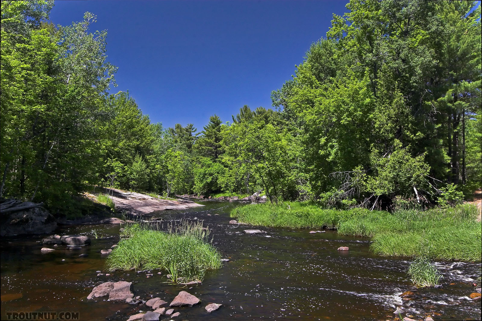 This pretty rapids is one of many channels of a large warmwater river. From the Chippewa River in Wisconsin.