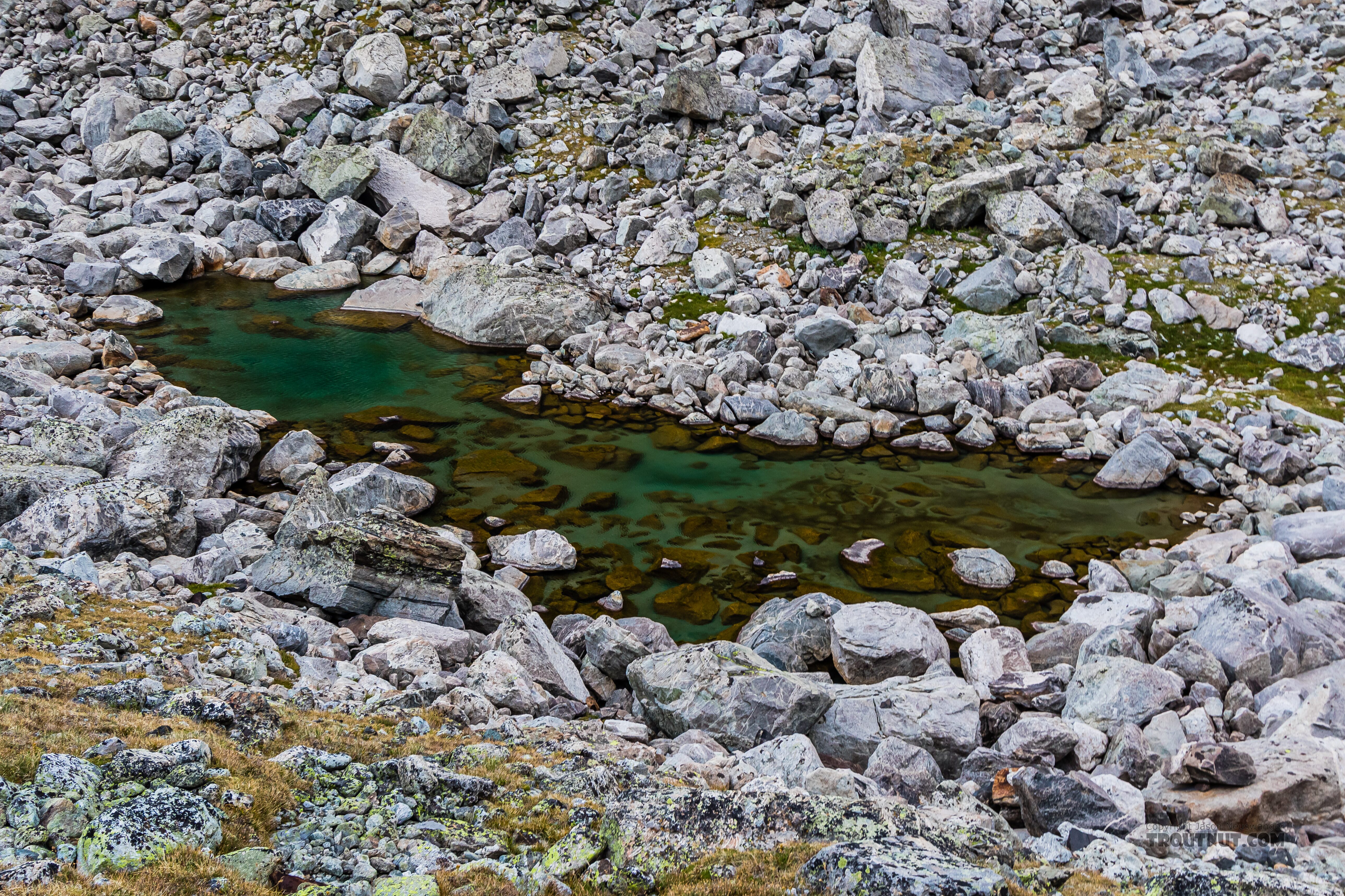 Pretty little tarn in the talus From Titcomb Basin in Wyoming.