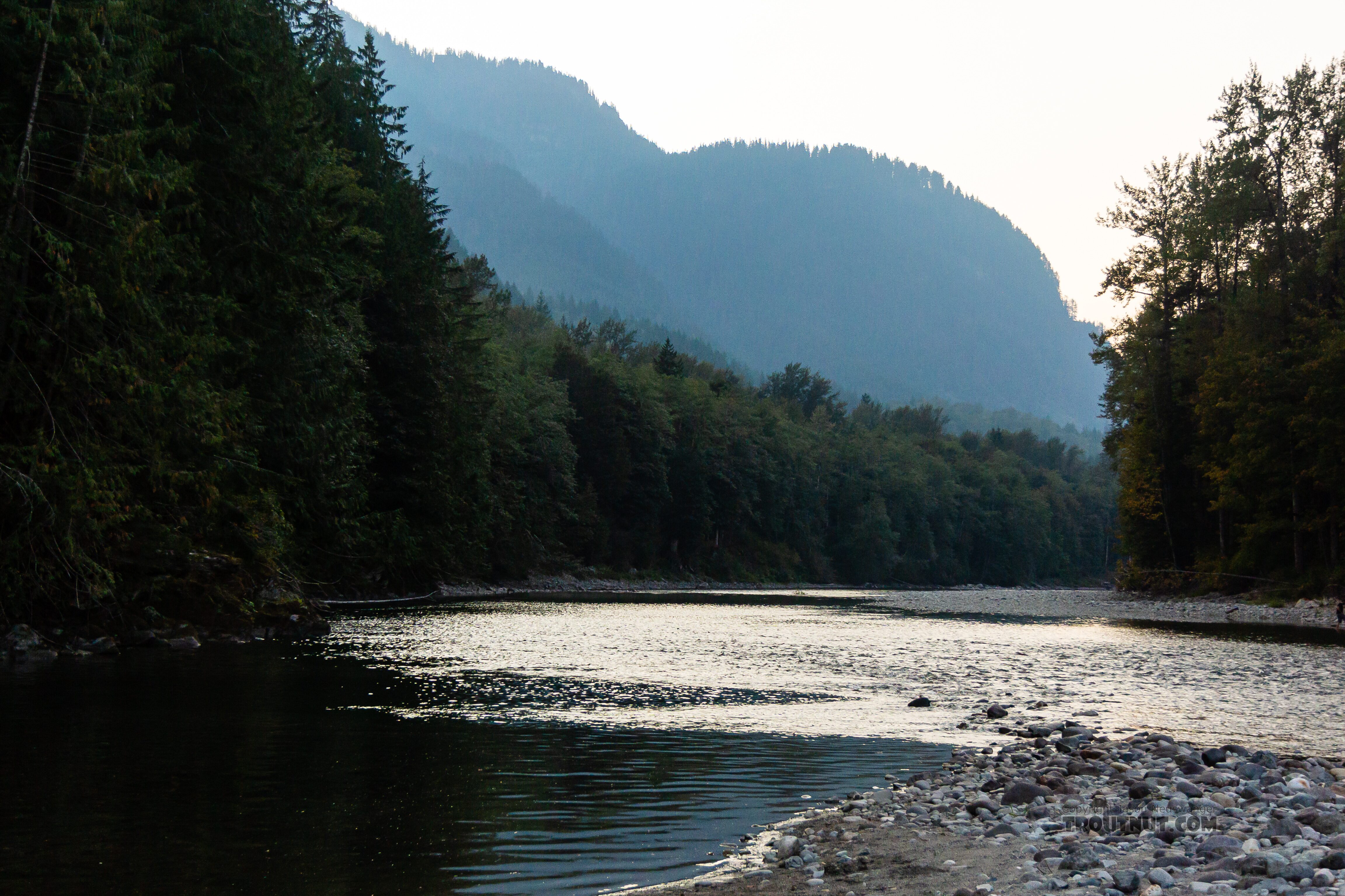  From the South Fork Skykomish River in Washington.