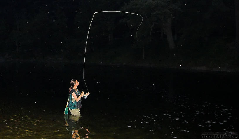 My girlfriend casts amidst a mix of bugs hatching in mid-July from a Catskill stream. From the East Branch of the Delaware River in New York.