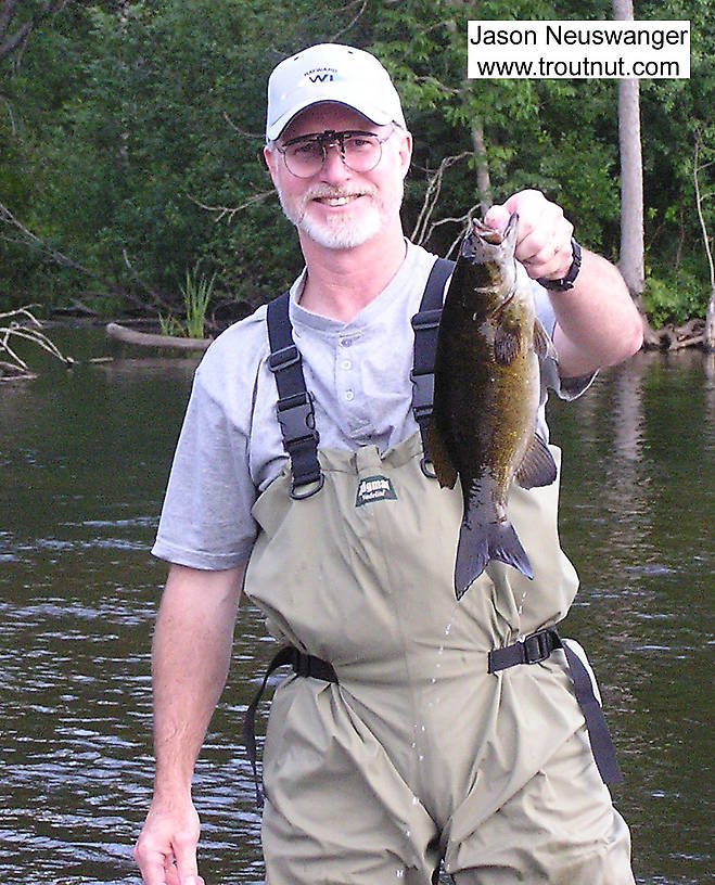 One of several nice smallmouths my dad and I caught on a mid-August float trip. From the Namekagon River below Hayward in Wisconsin.